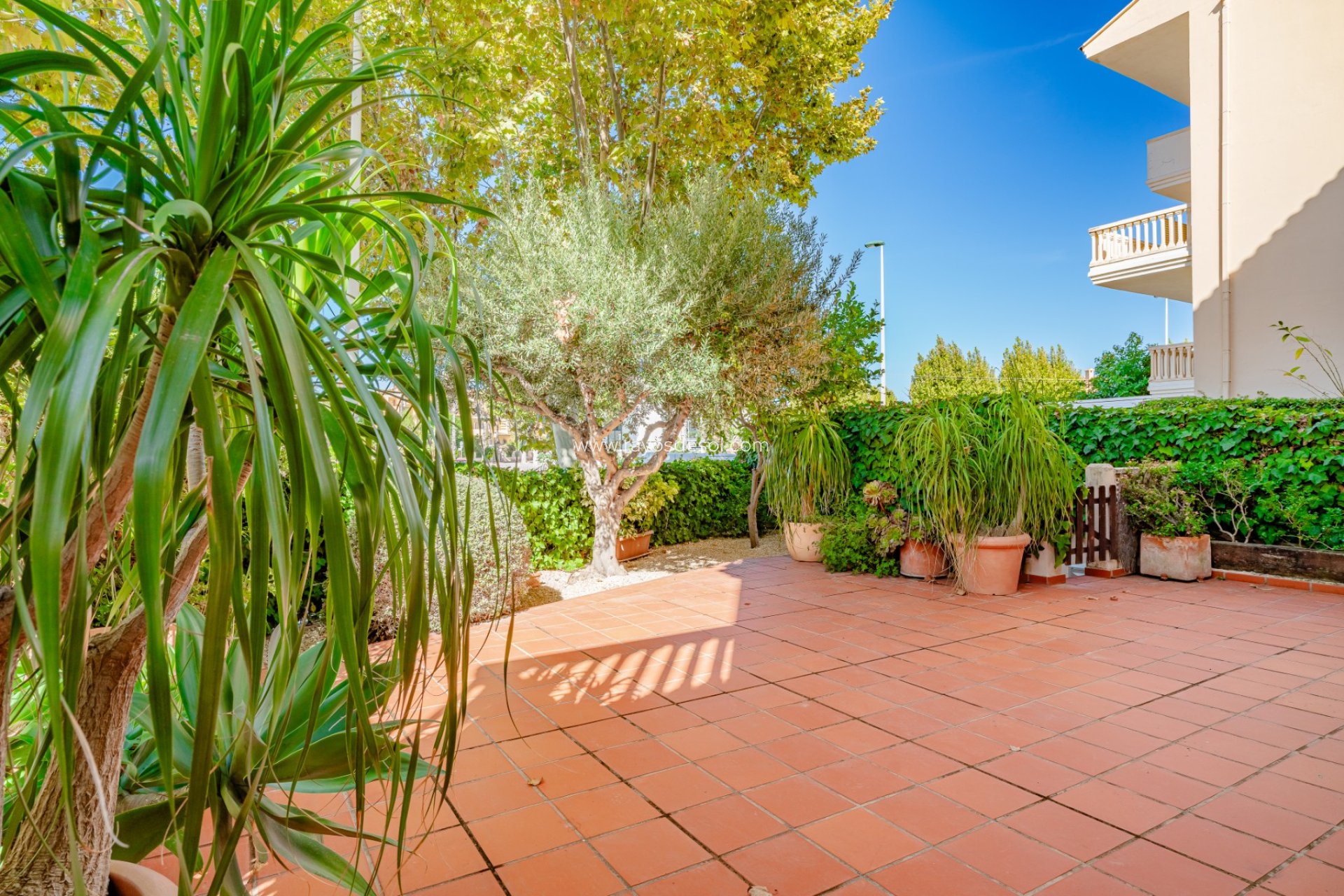 Reventa - Apartamento / piso - Jávea - El Arenal