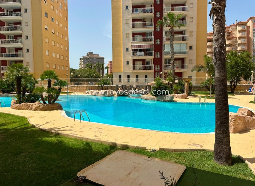 Reventa - Apartamento / piso - La Manga del Mar Menor - La Manga Del Mar Menor