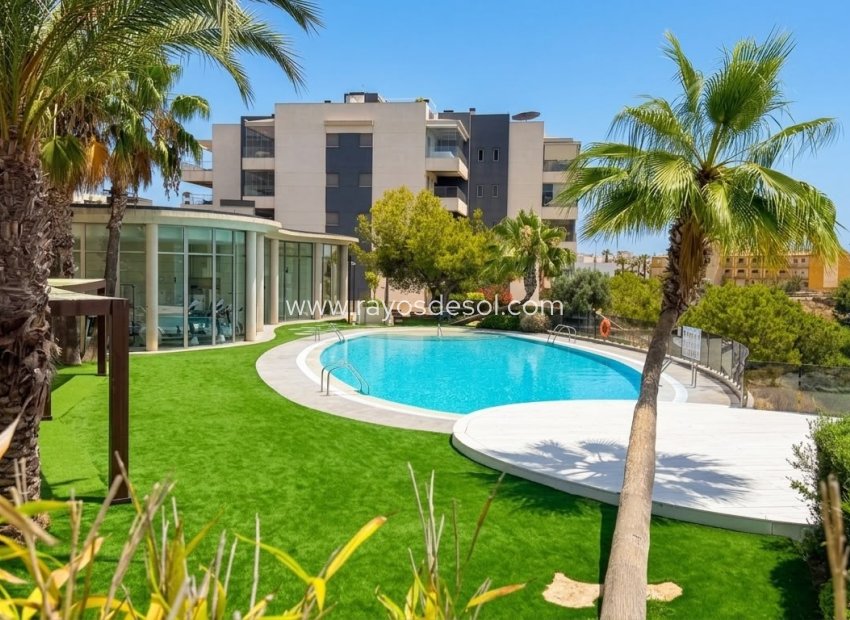 Reventa - Apartamento / piso - Orihuela Costa - Cabo roig - La Zenia