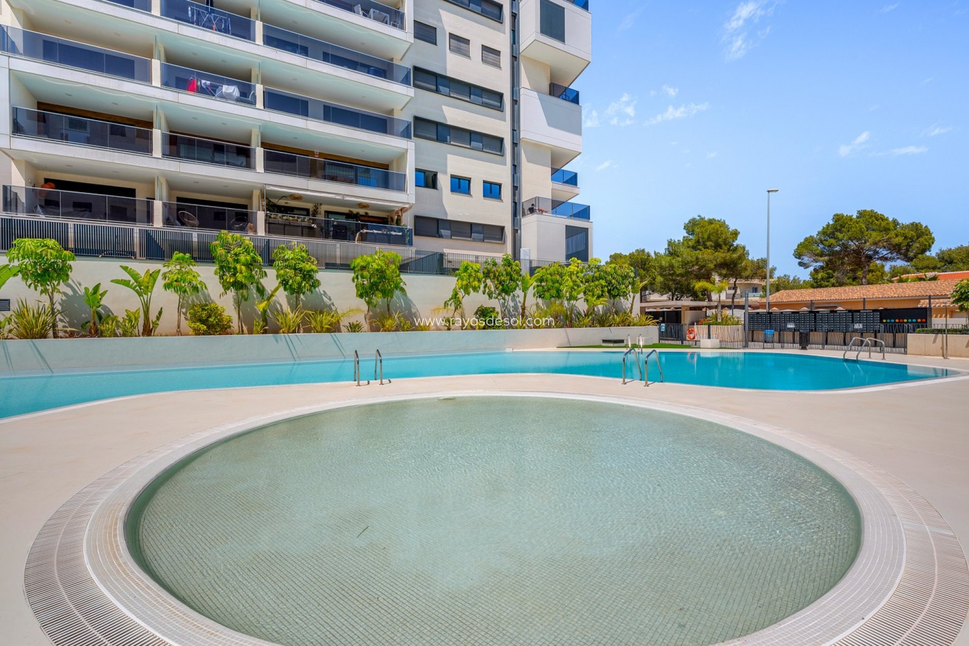 Reventa - Apartamento / piso - Orihuela Costa - Dehesa de Campoamor