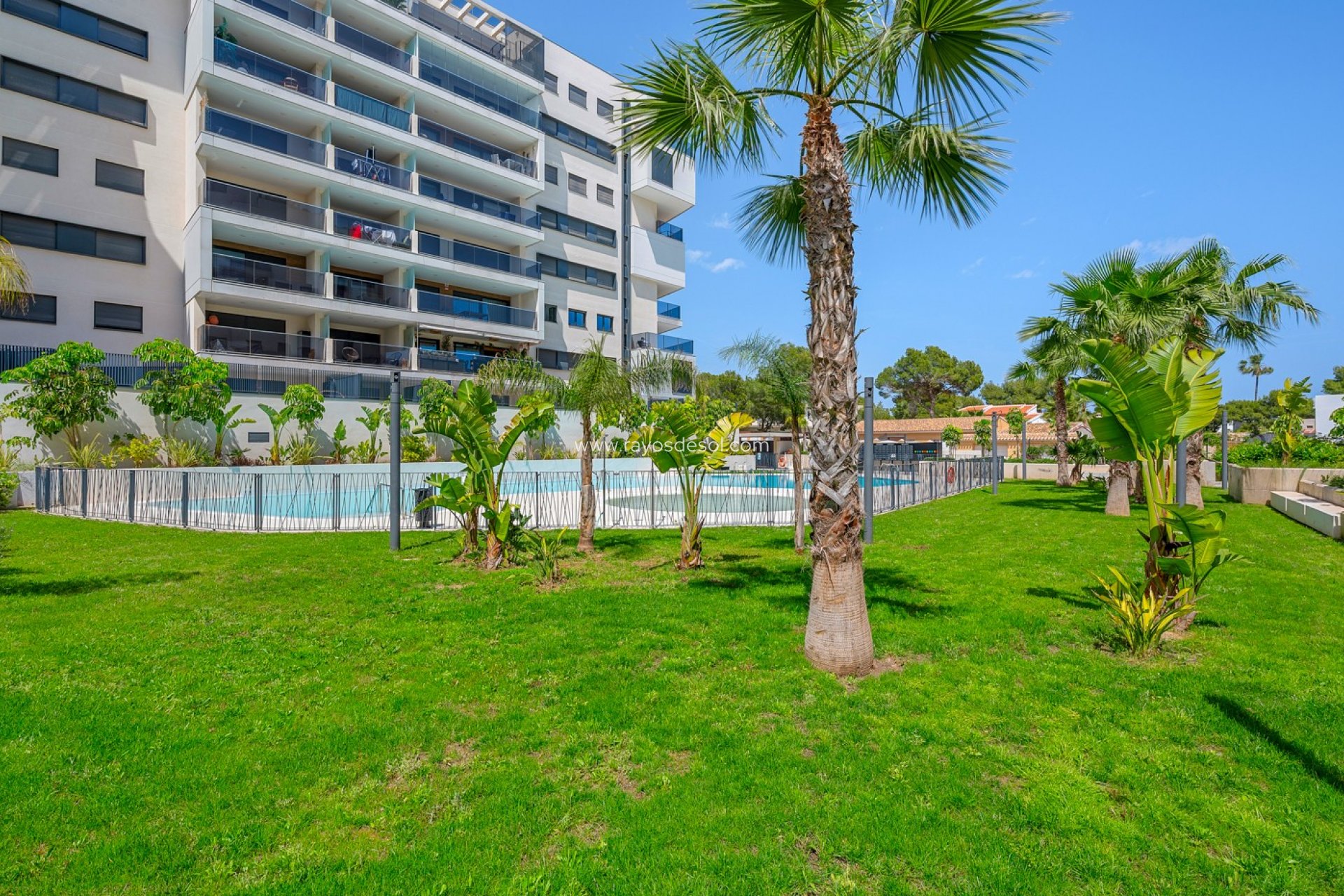 Reventa - Apartamento / piso - Orihuela Costa - Dehesa de Campoamor