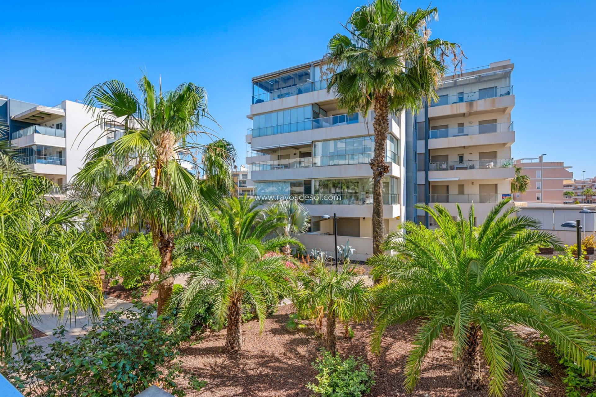 Reventa - Apartamento / piso - Orihuela Costa - Los Dolses