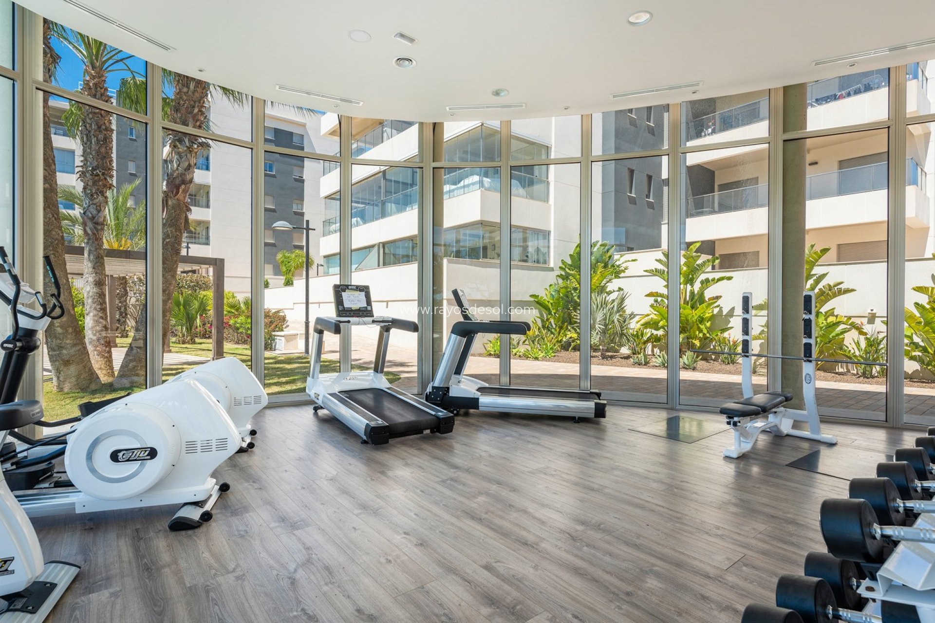 Reventa - Apartamento / piso - Orihuela Costa - Los Dolses