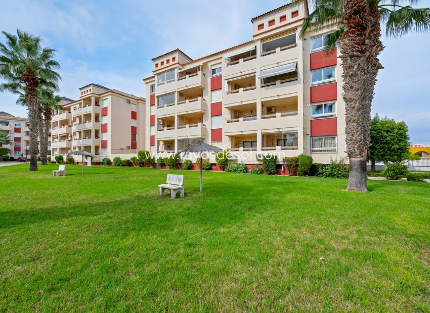 Reventa - Apartamento / piso - Orihuela Costa - Playa Flamenca