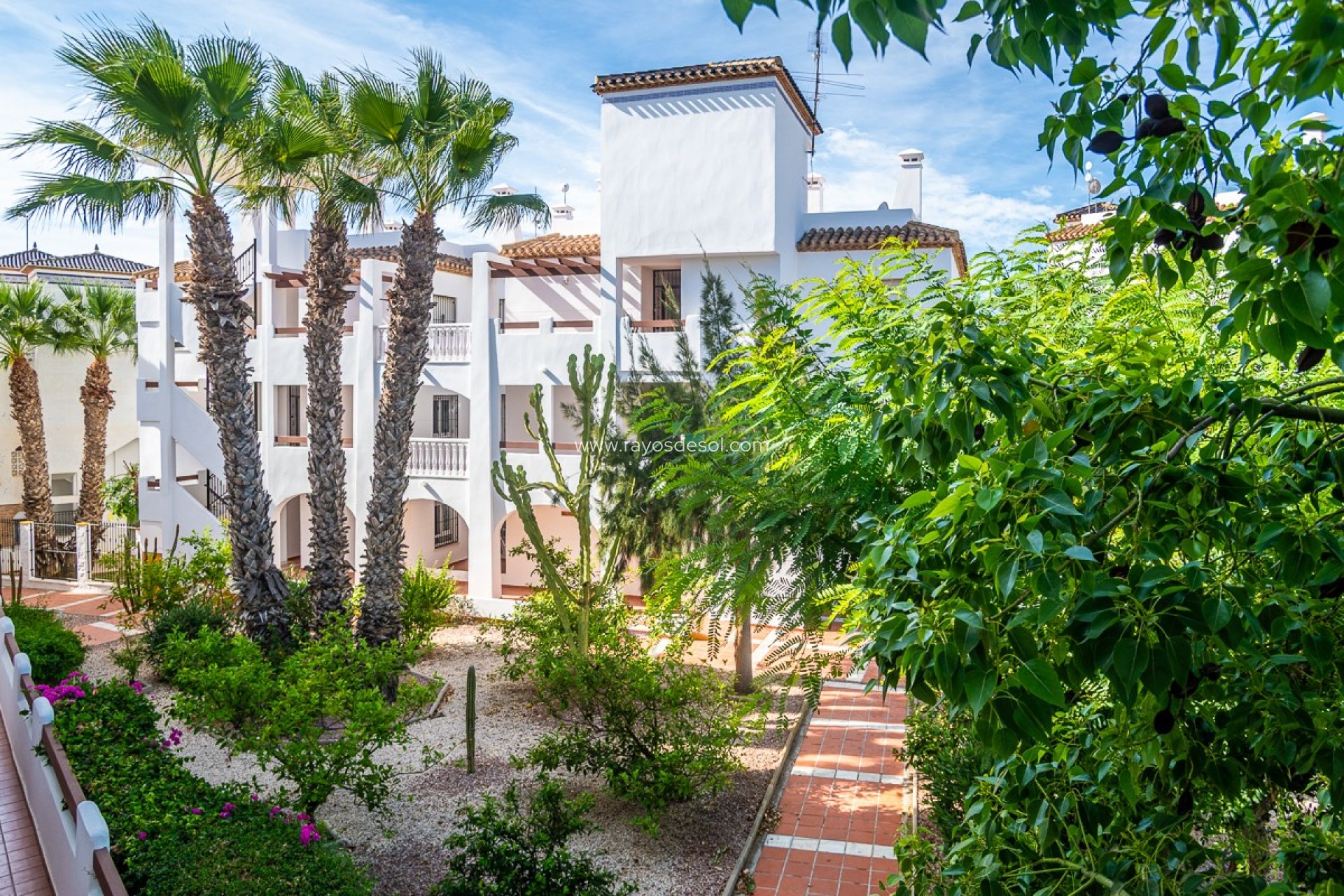 Reventa - Apartamento / piso - Orihuela Costa - Villamartín