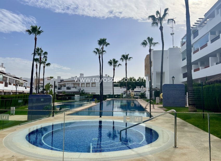Reventa - Apartamento / piso - Orihuela Costa - Villamartin