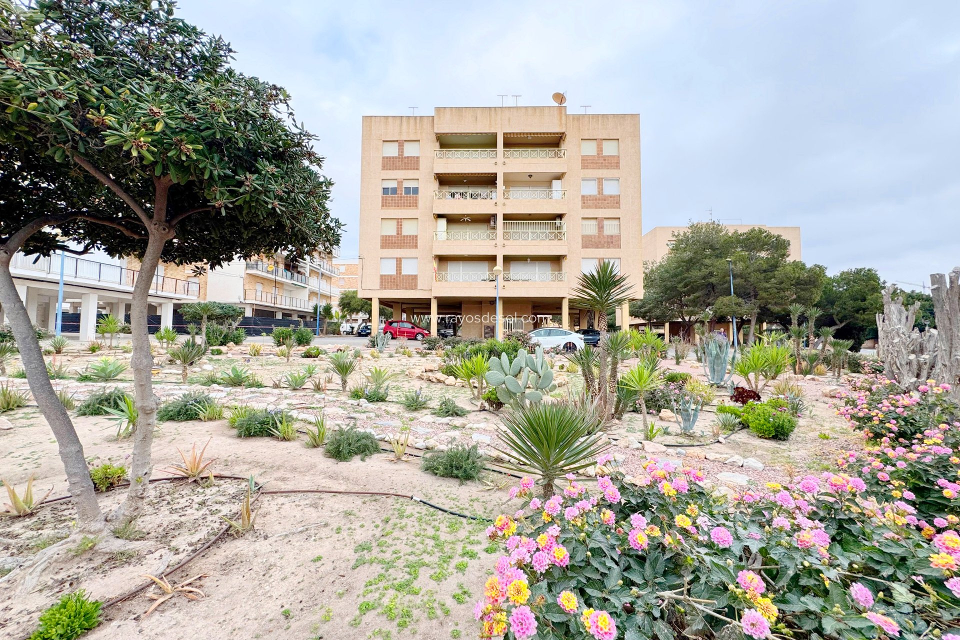 Reventa - Apartamento / piso - Orihuela Costa