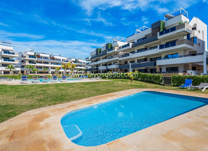 Reventa - Apartamento / piso - Orihuela Costa