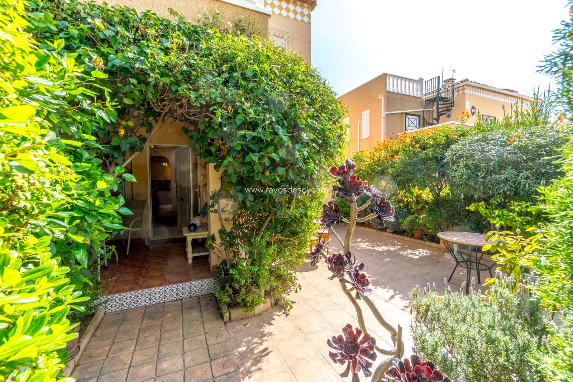 Reventa - Apartamento / piso - Torrevieja - Aguas Nuevas