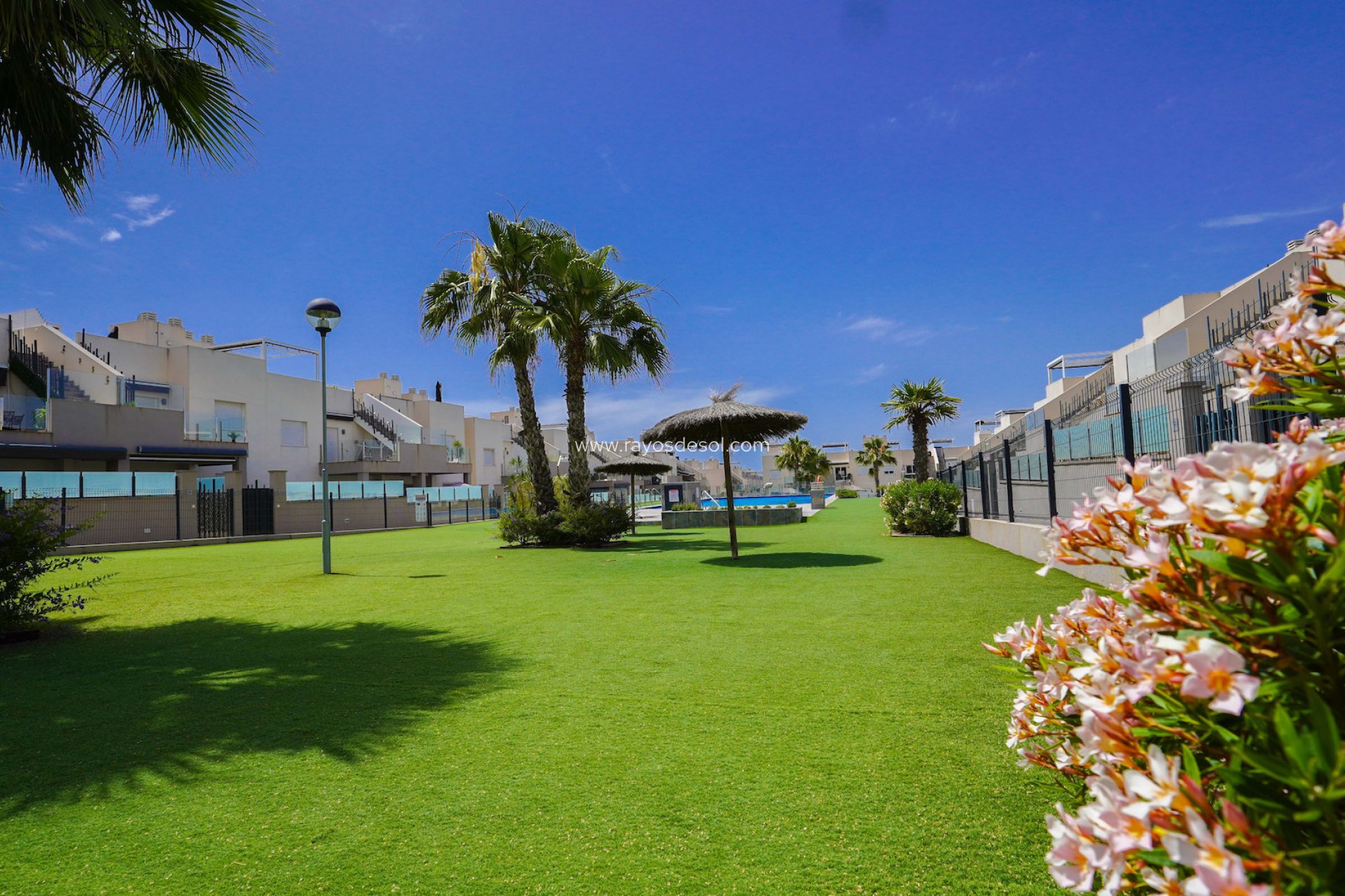 Reventa - Apartamento / piso - Torrevieja - Aguas Nuevas