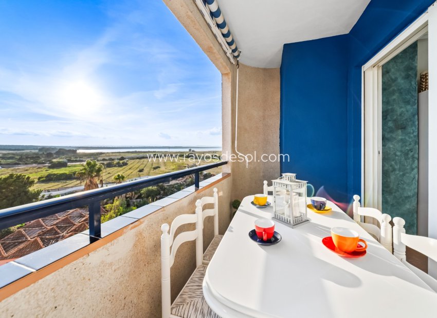 Reventa - Apartamento / piso - Torrevieja - La Mata