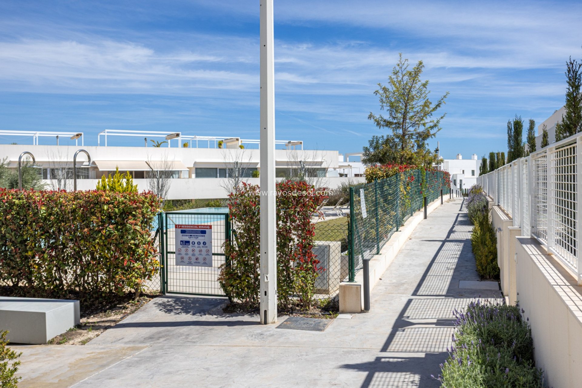 Reventa - Apartamento / piso - Torrevieja - Los Balcones