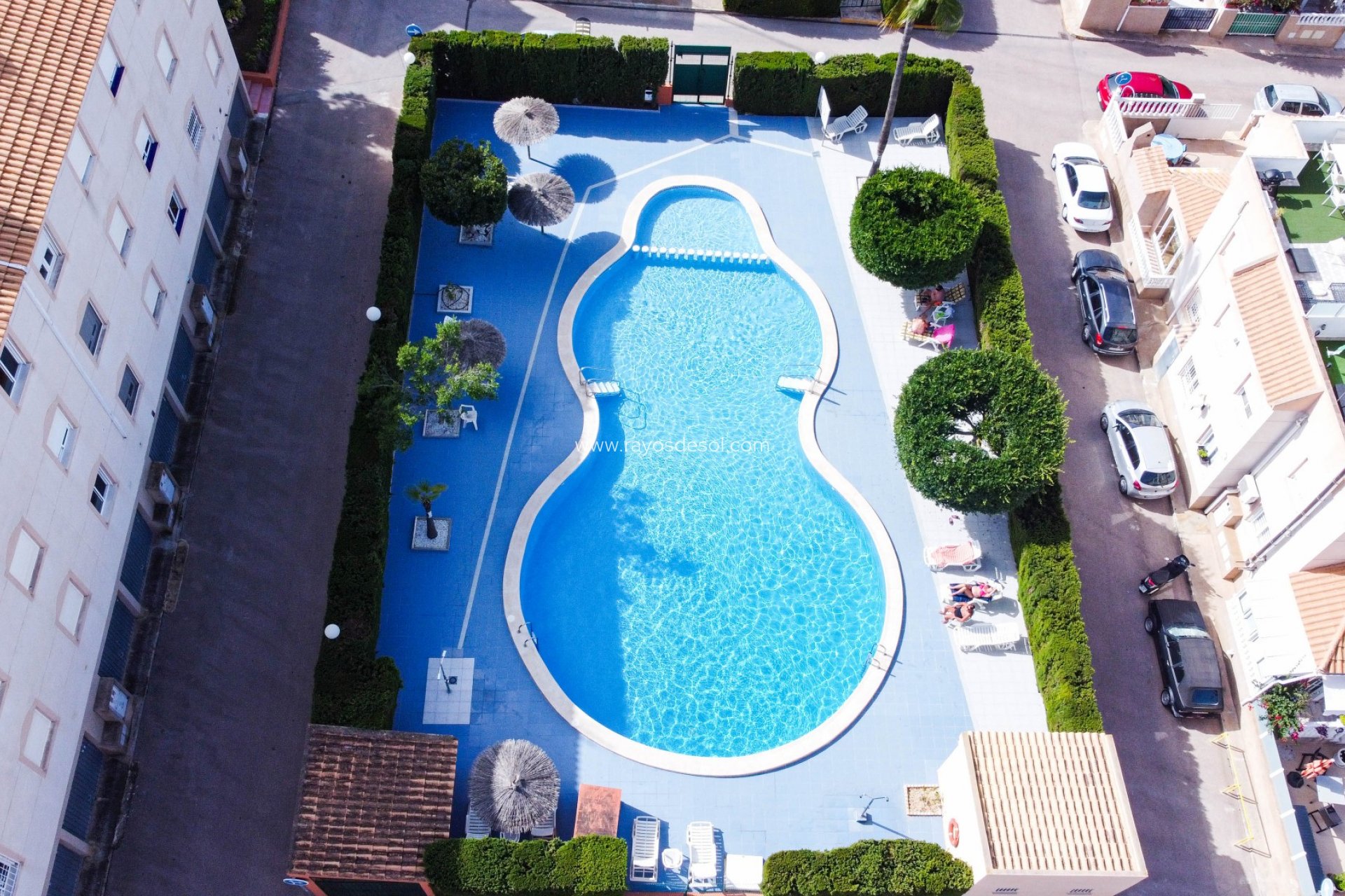 Reventa - Apartamento / piso - Torrevieja - Los Balcones