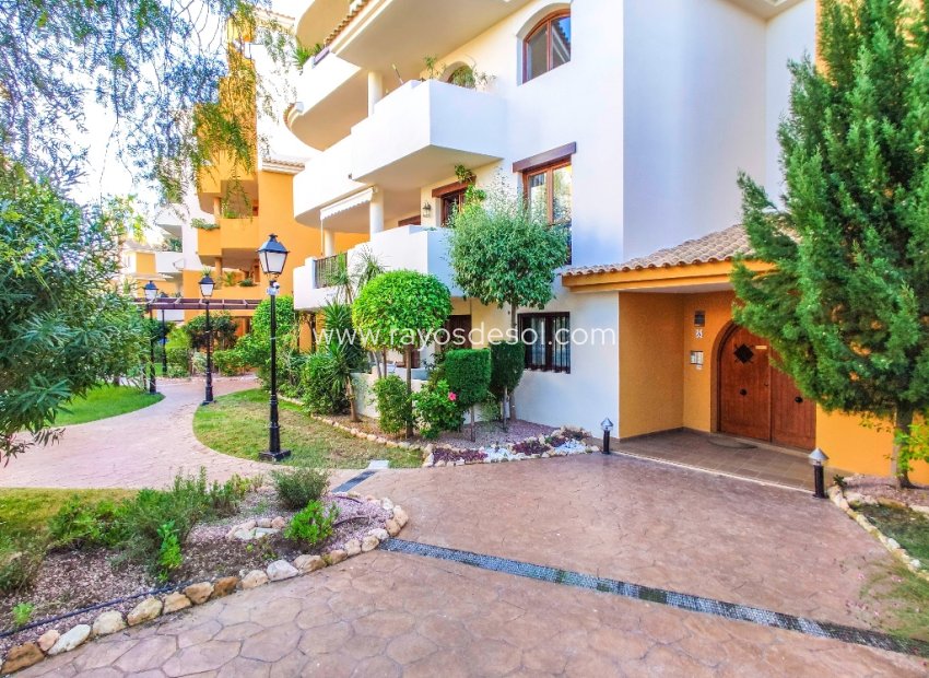 Reventa - Apartamento / piso - Torrevieja - Punta Prima