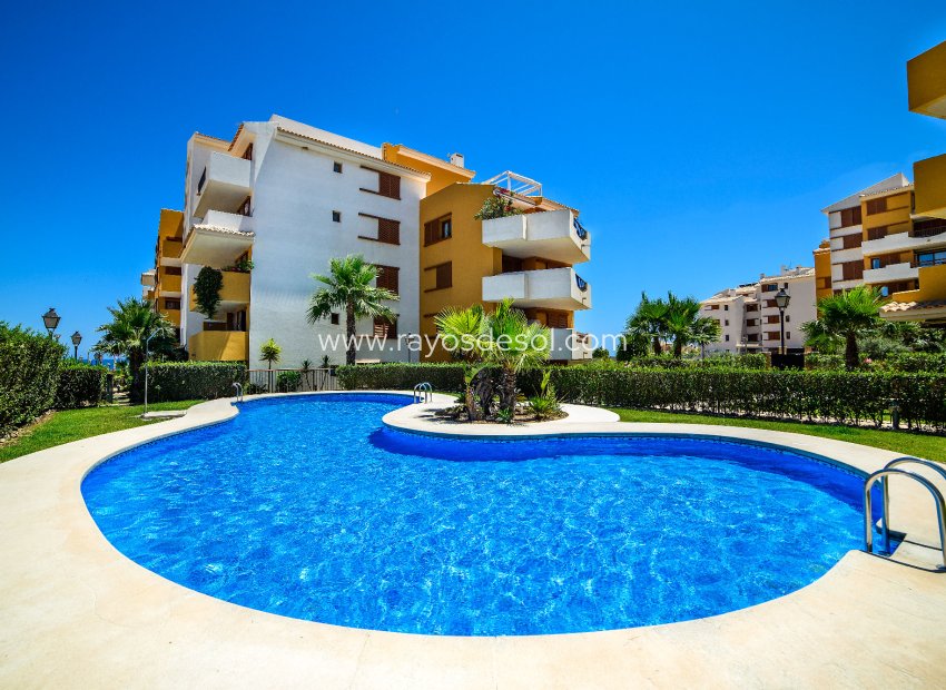 Reventa - Apartamento / piso - Torrevieja - Punta Prima