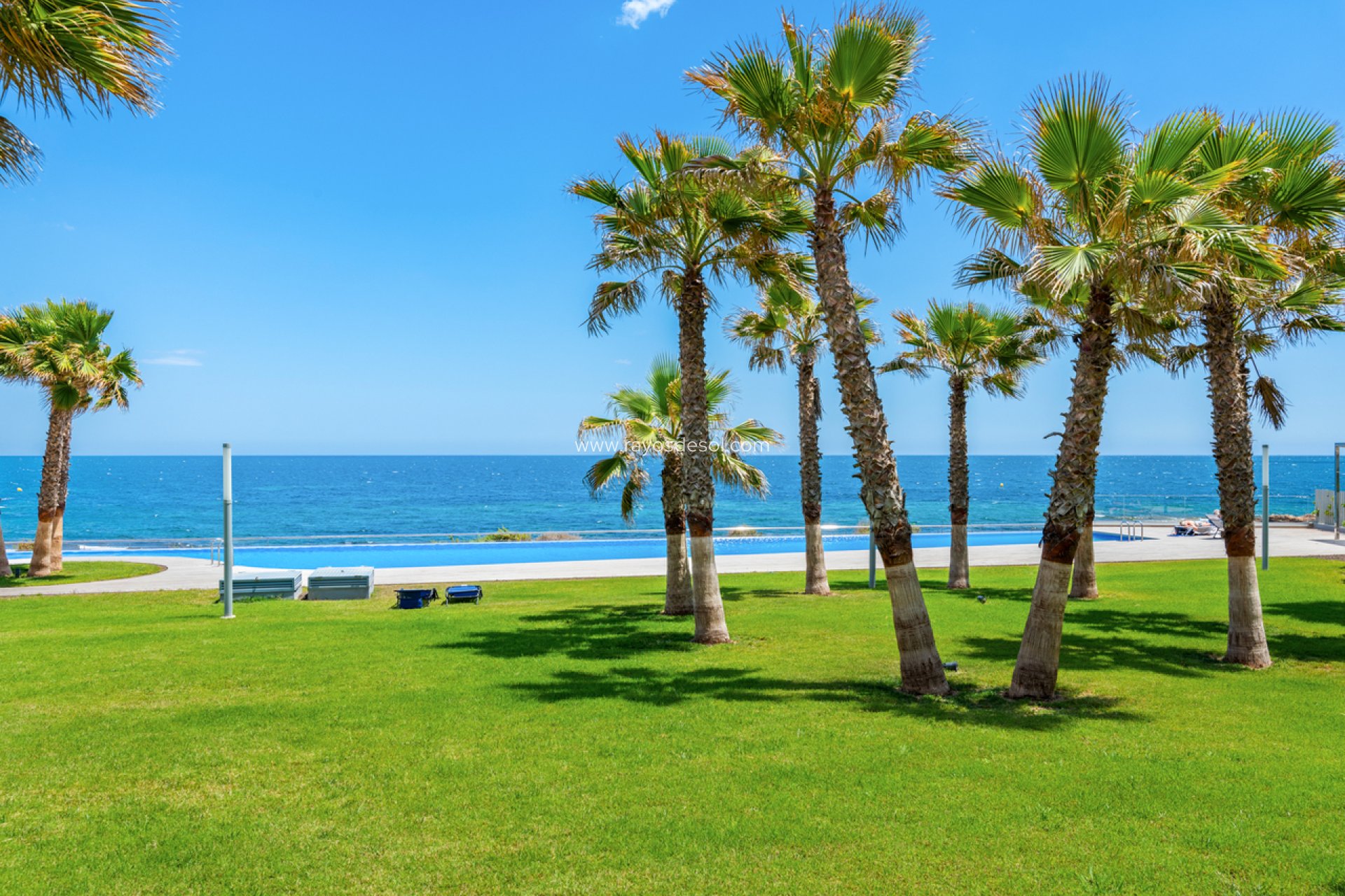 Reventa - Apartamento / piso - Torrevieja - Punta Prima