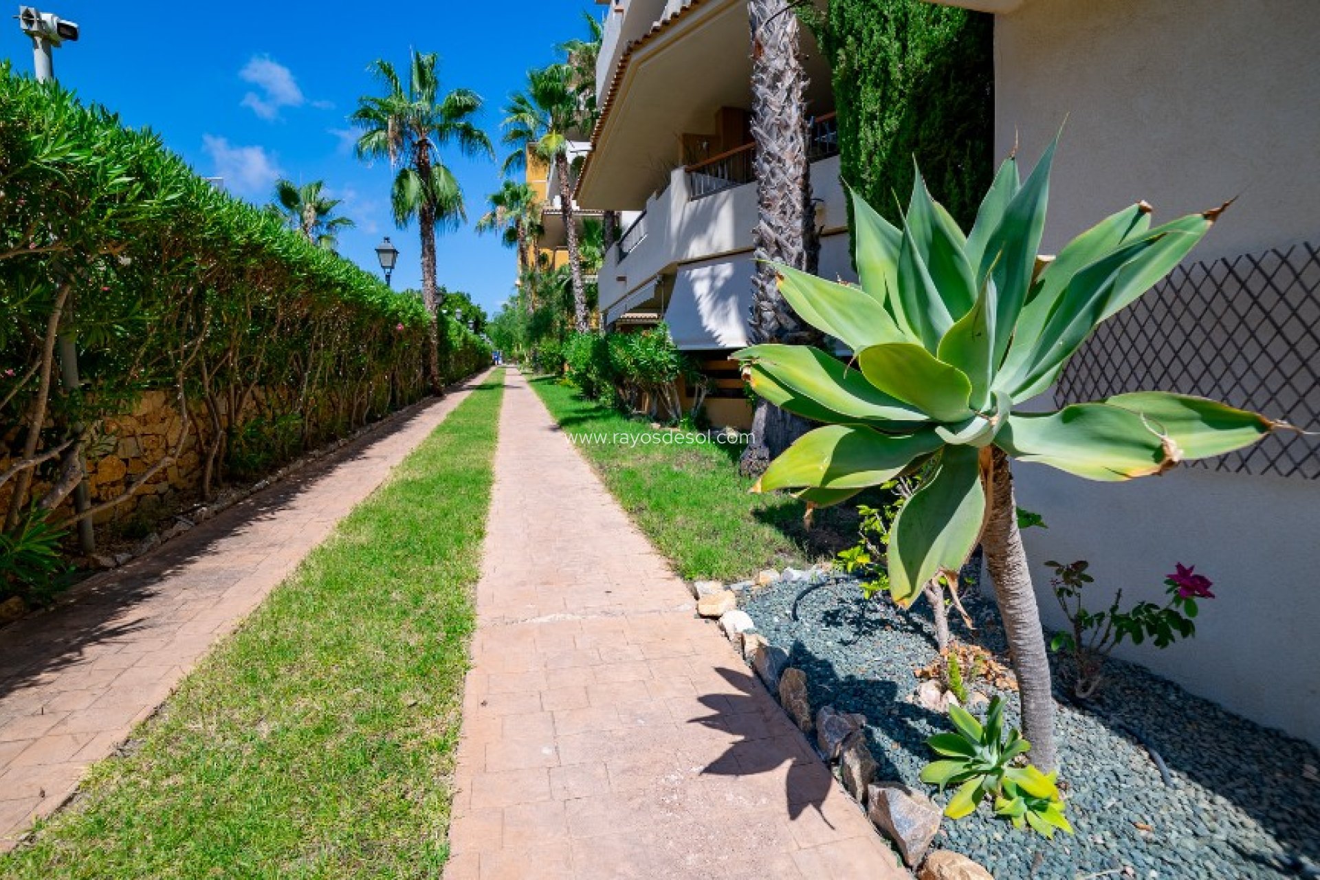 Reventa - Apartamento / piso - Torrevieja - Punta Prima