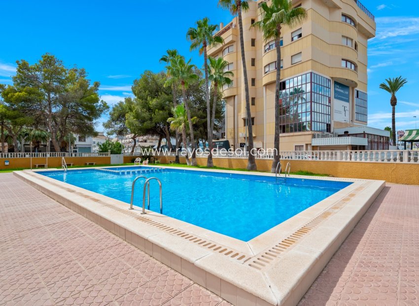 Reventa - Apartamento / piso - Torrevieja - Punta Prima