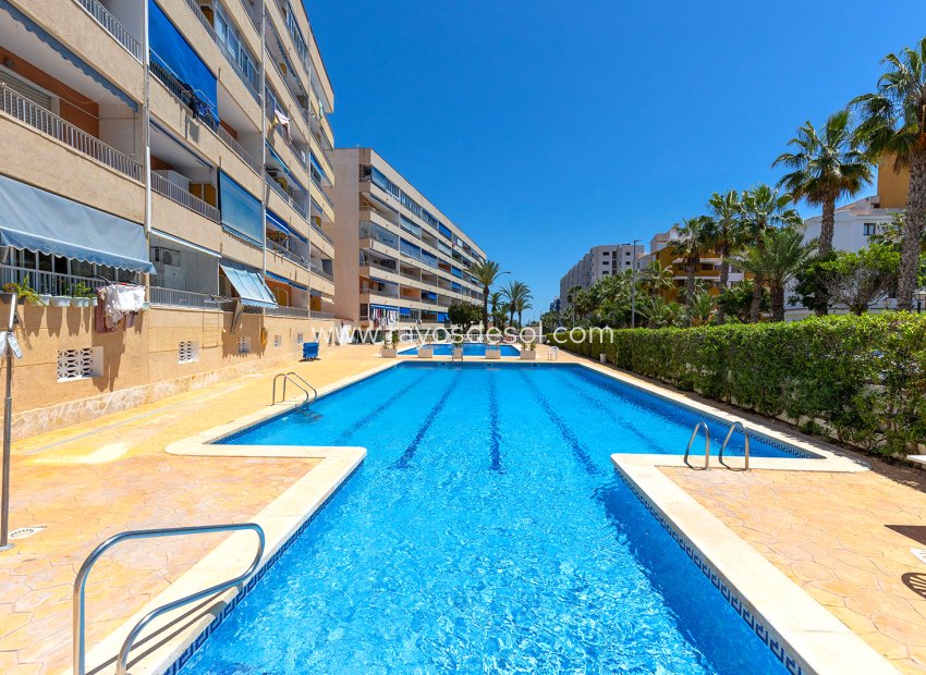 Reventa - Apartamento / piso - Torrevieja - Rocio del Mar