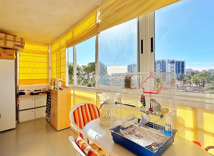 Reventa - Apartamento / piso - Torrevieja - Rocio del Mar