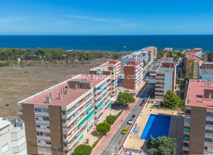 Reventa - Apartamento / piso - Torrevieja - Rocio del Mar
