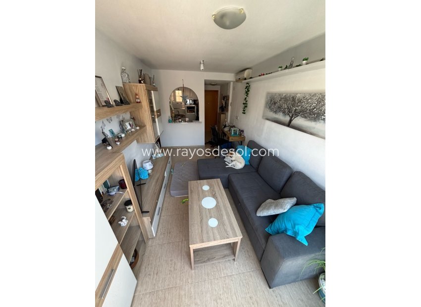 Reventa - Apartamento / piso - Torrevieja