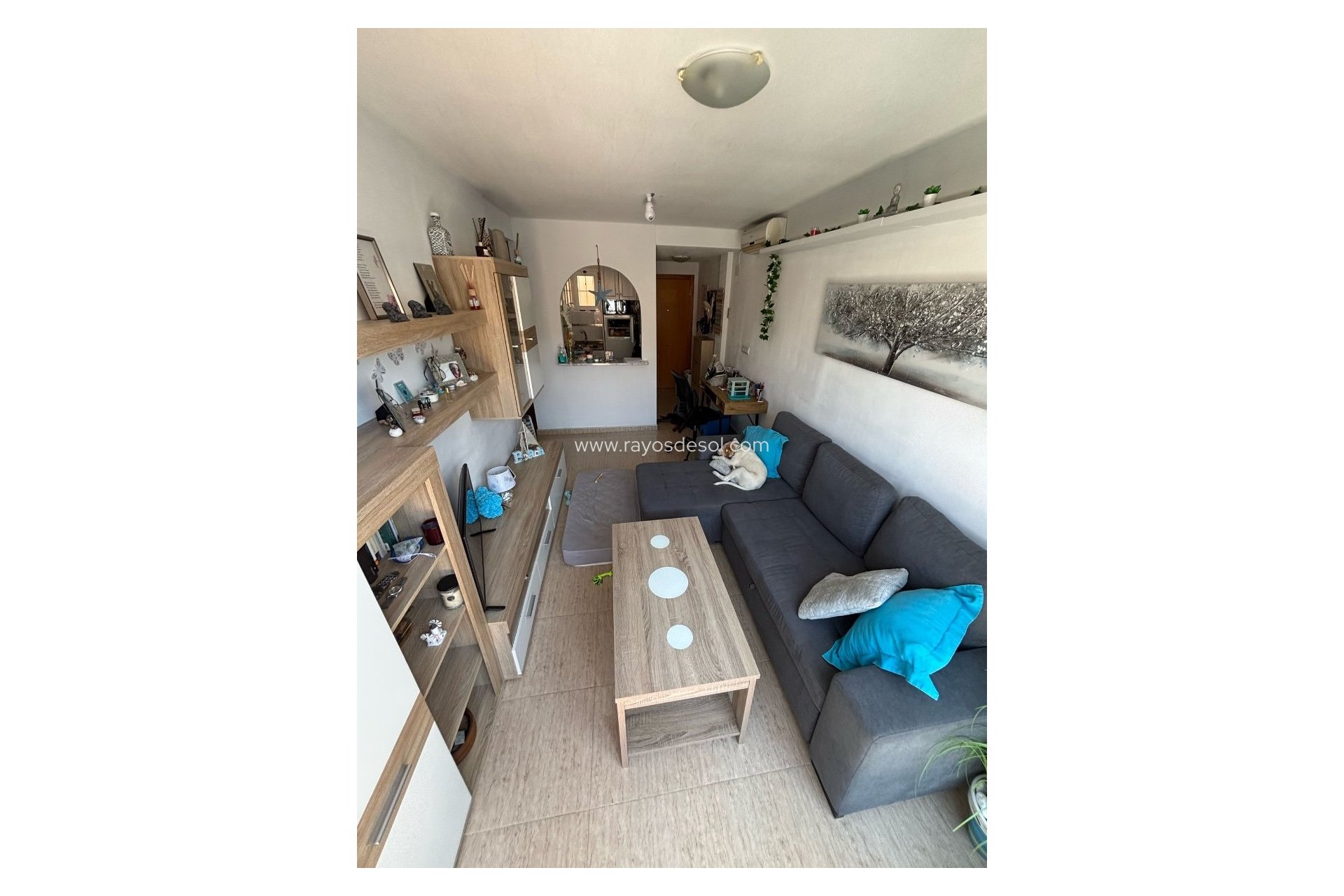 Reventa - Apartamento / piso - Torrevieja