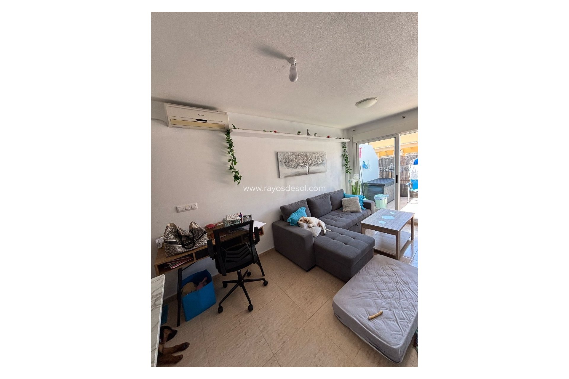 Reventa - Apartamento / piso - Torrevieja