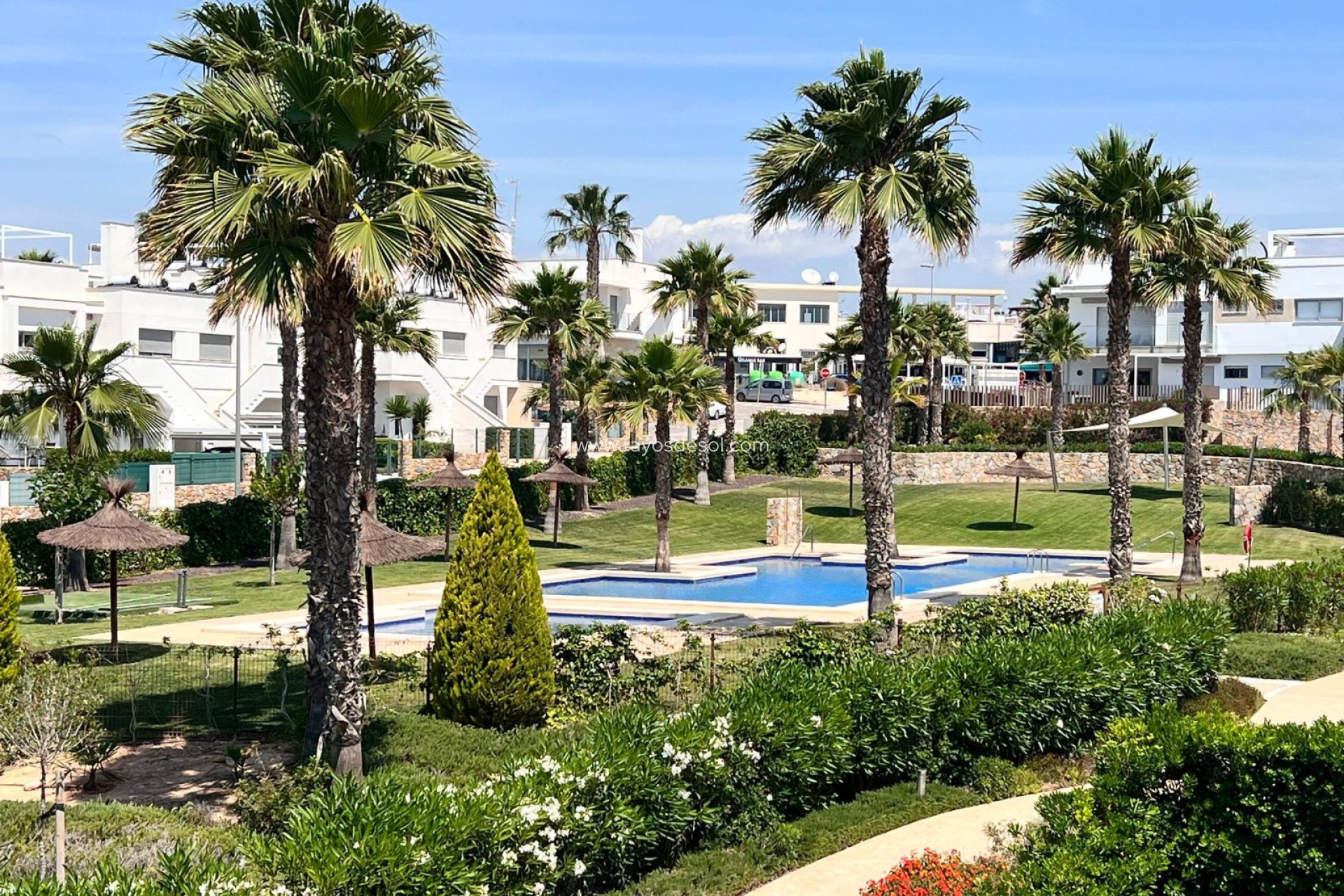 Reventa - Apartamento / piso - VISTABELLA GOLF