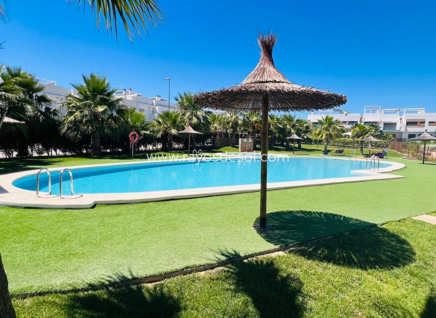 Reventa - Apartamento / piso - VISTABELLA GOLF