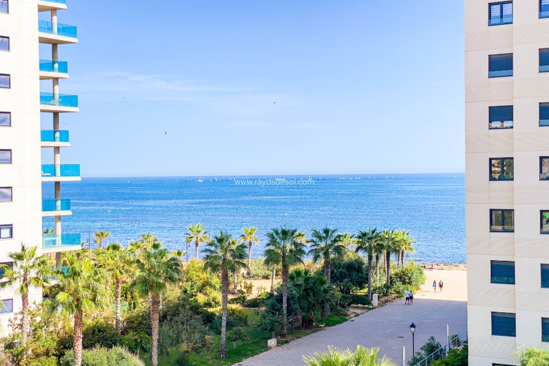 Reventa - Apartamento - Torrevieja - Punta Prima