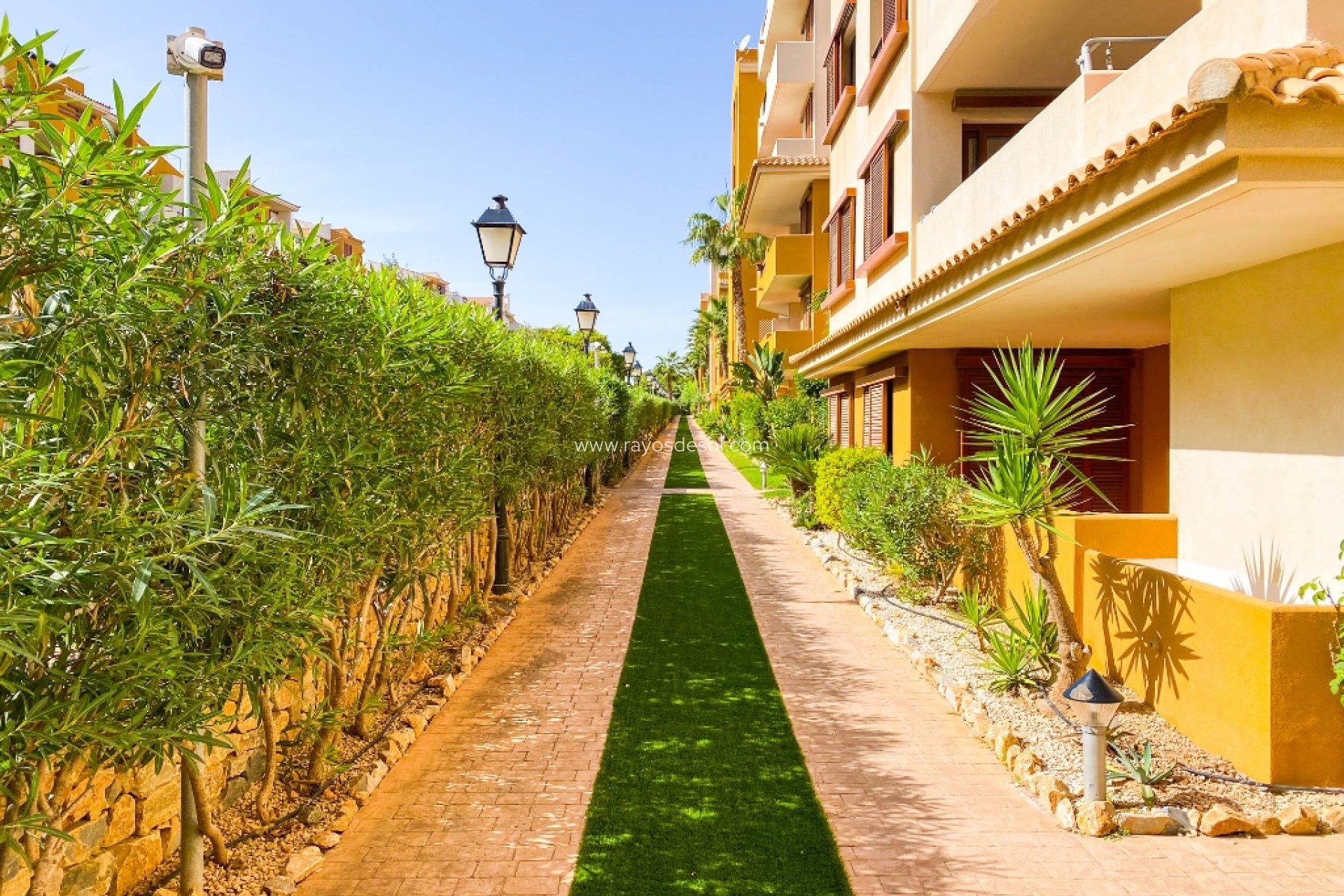 Reventa - Apartamento - Torrevieja - Punta Prima
