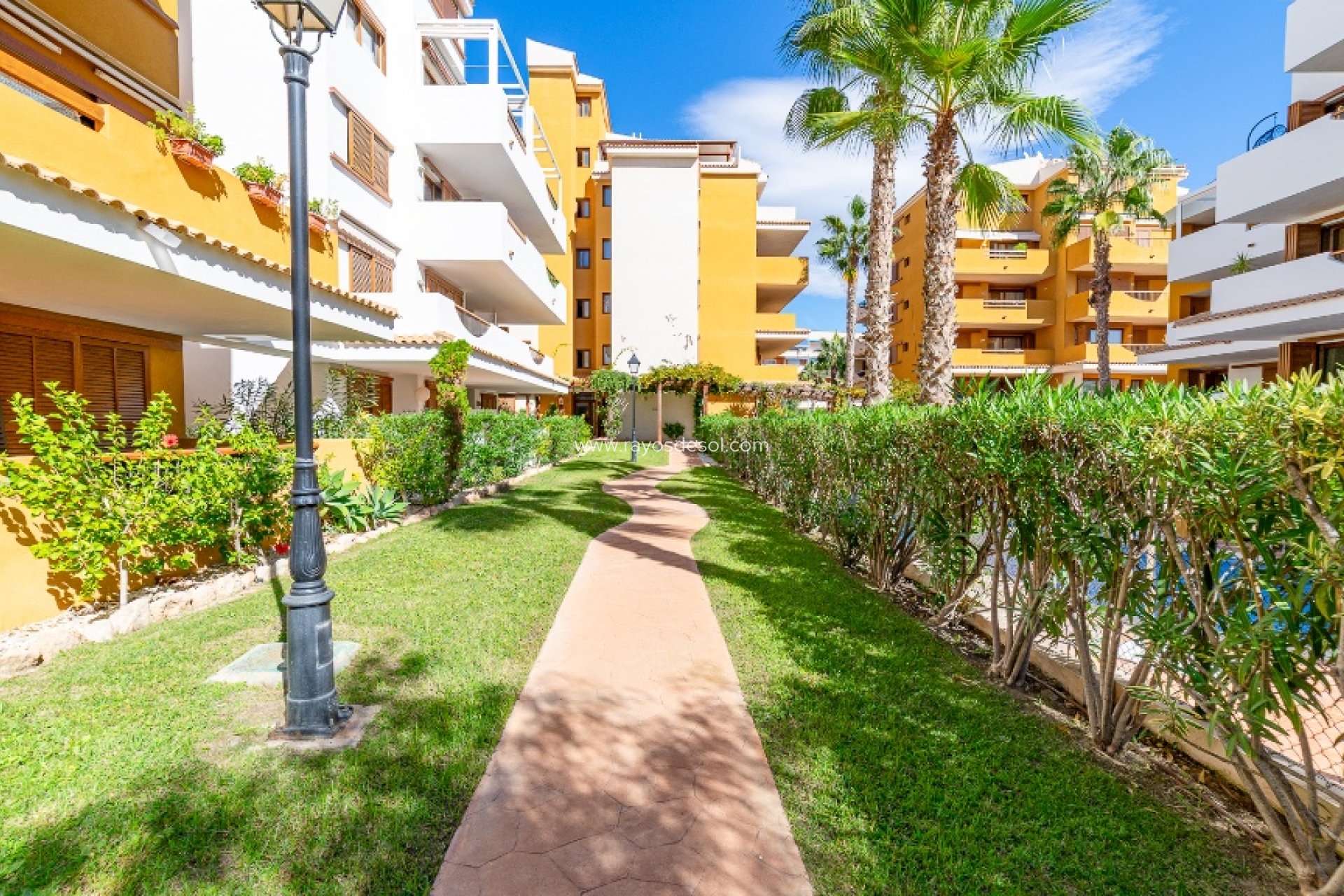 Reventa - Apartamento - Torrevieja - Punta Prima