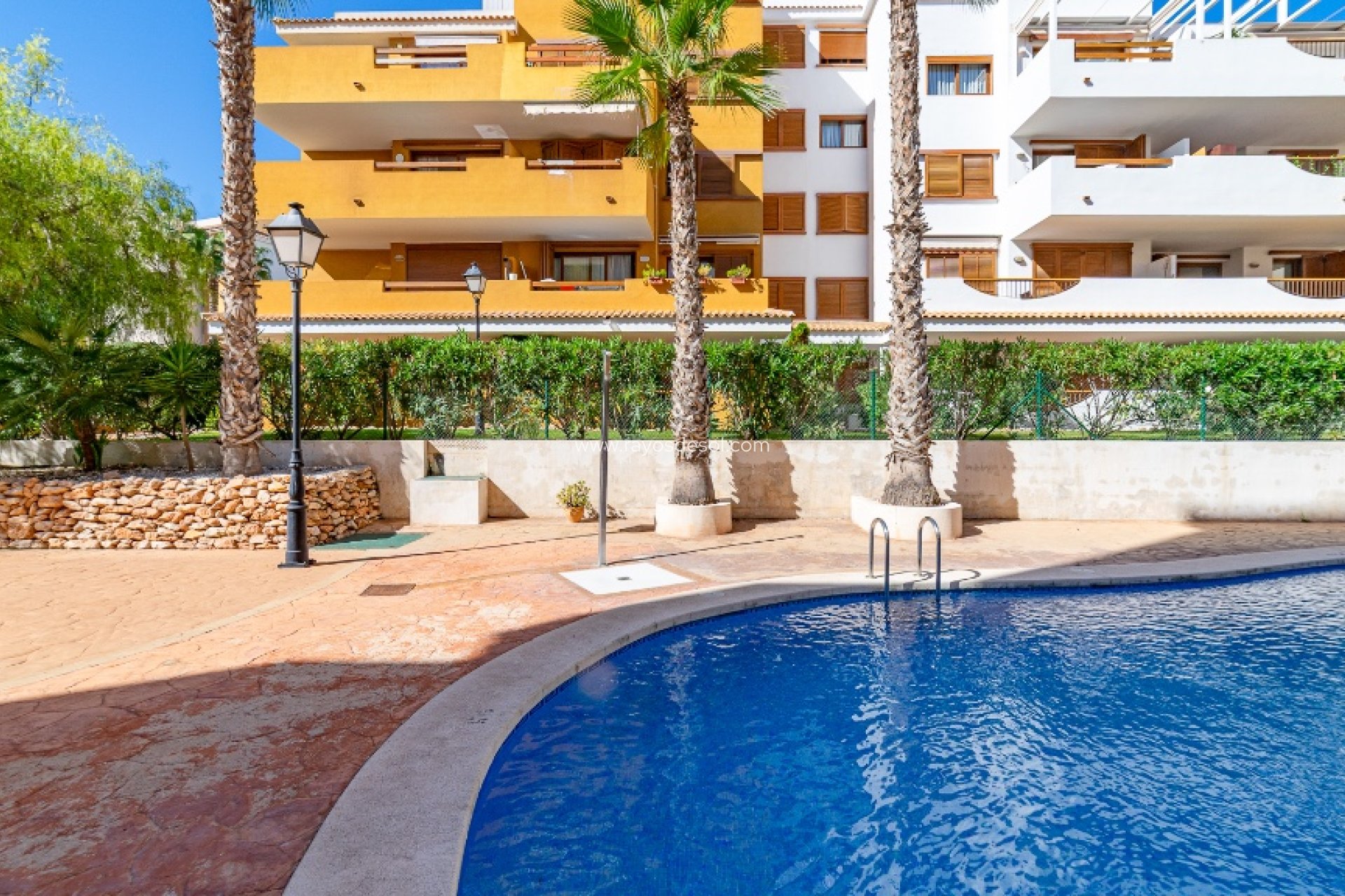 Reventa - Apartamento - Torrevieja - Punta Prima