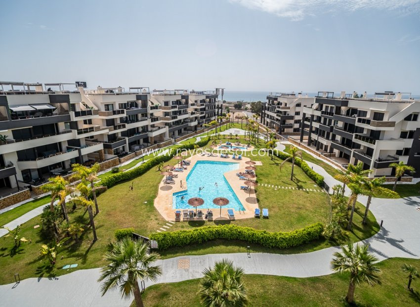 Reventa - Ático - Orihuela Costa - Playa Flamenca