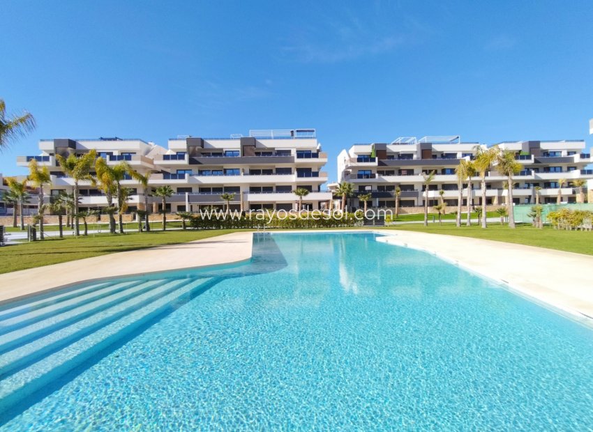 Reventa - Ático - Orihuela Costa - Playa Flamenca