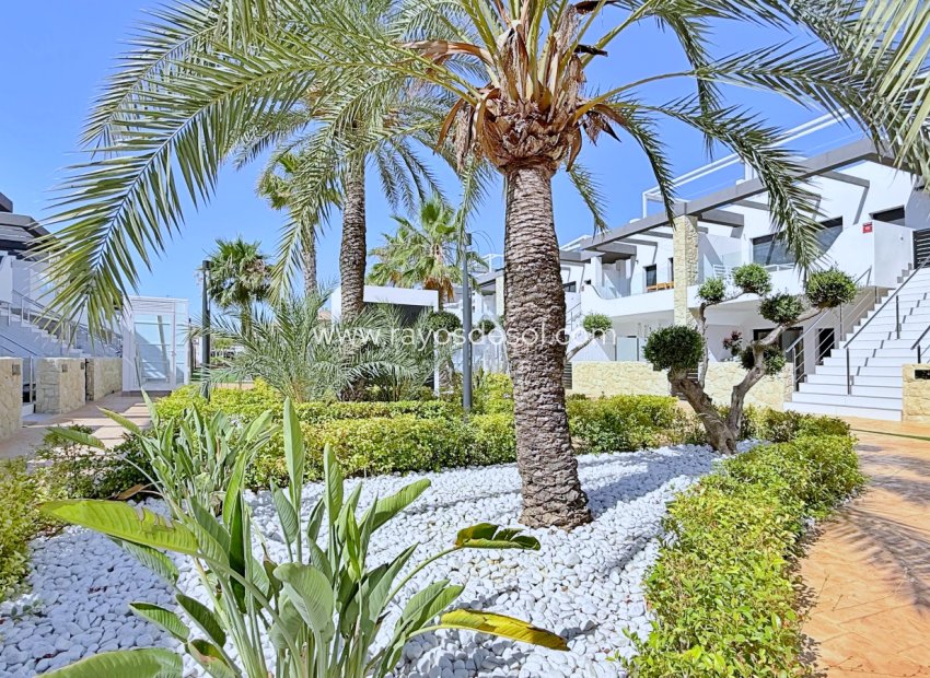 Reventa - Ático - Orihuela Costa - Punta Prima