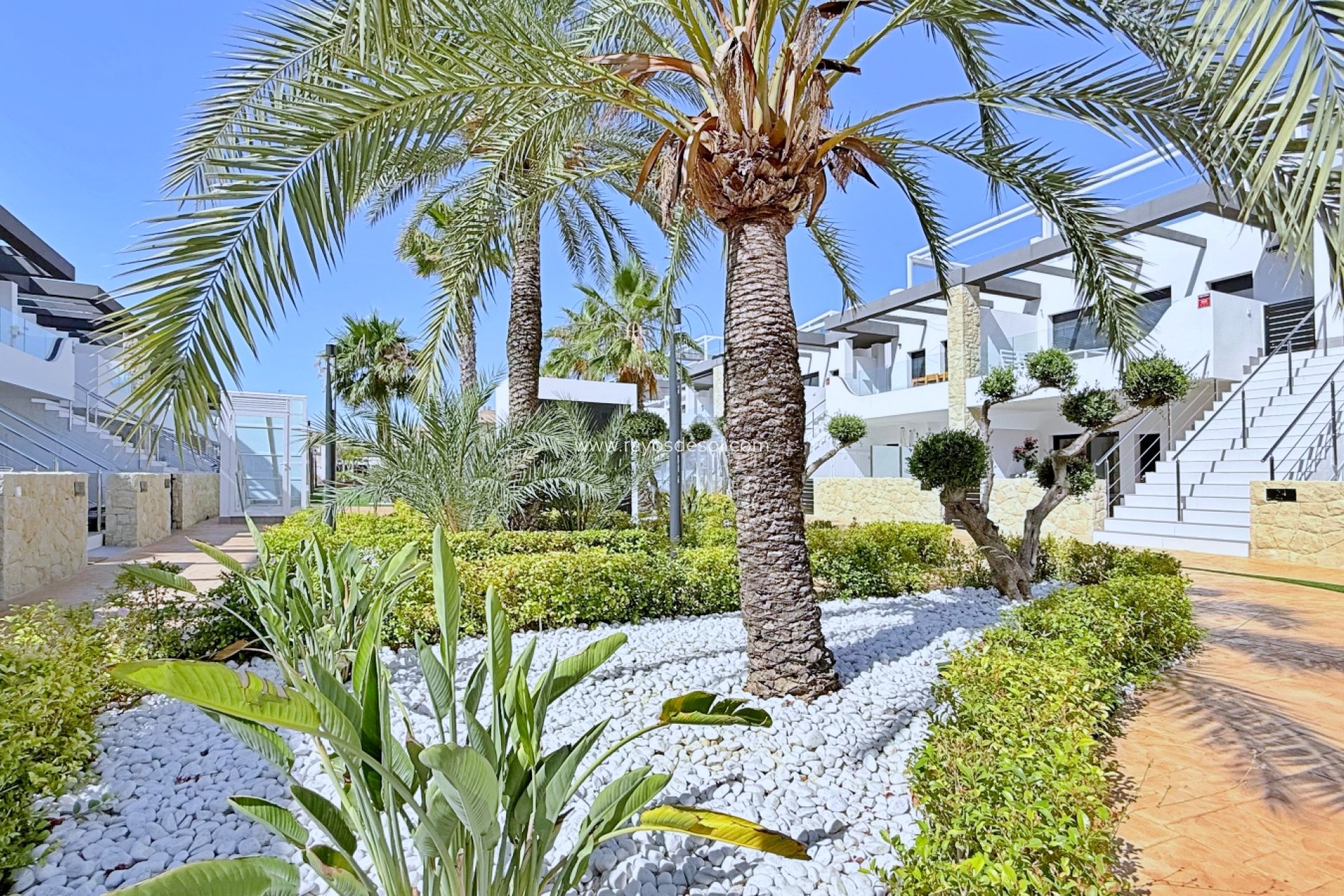 Reventa - Ático - Orihuela Costa - Punta Prima