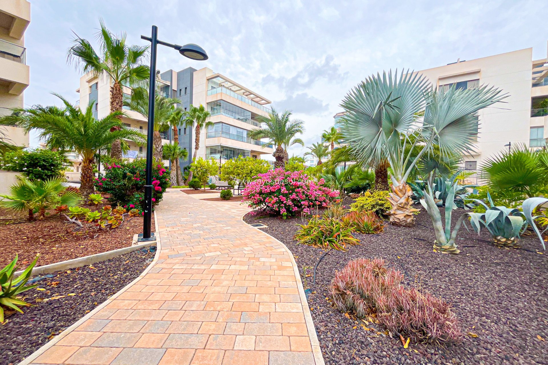 Reventa - Ático - Orihuela Costa - Villamartín