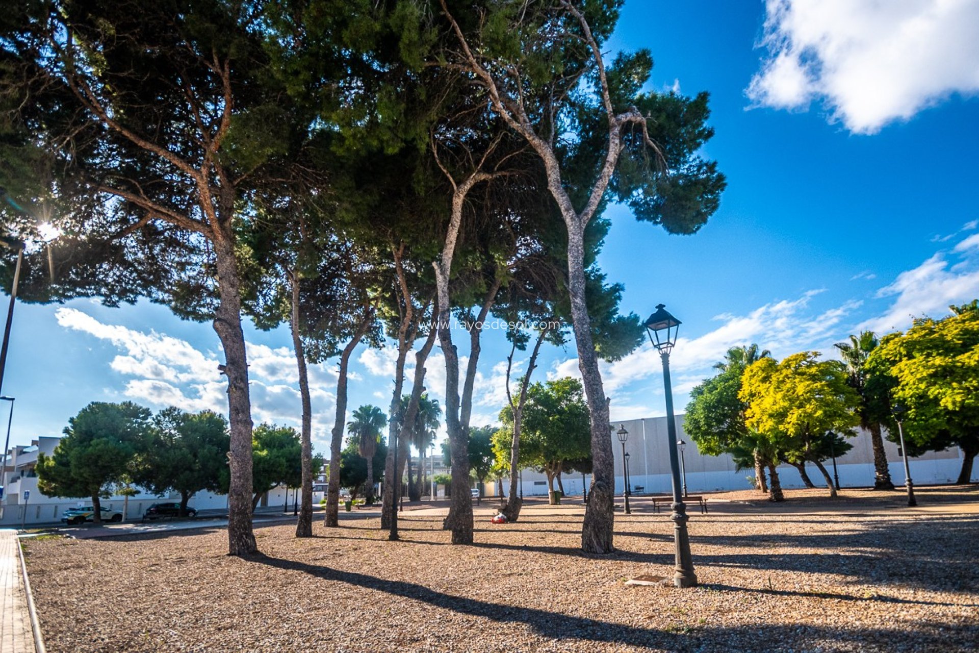 Reventa - Ático - San Pedro del Pinatar