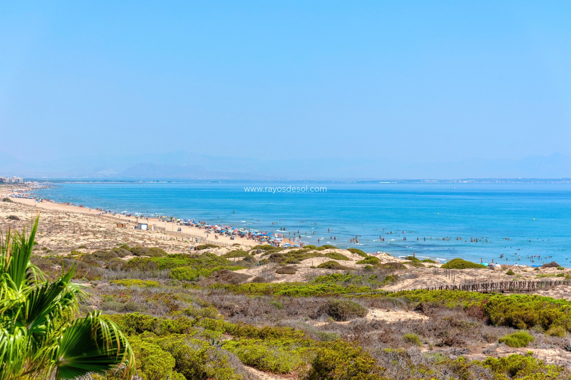 Reventa - Ático - Torrevieja - La Mata