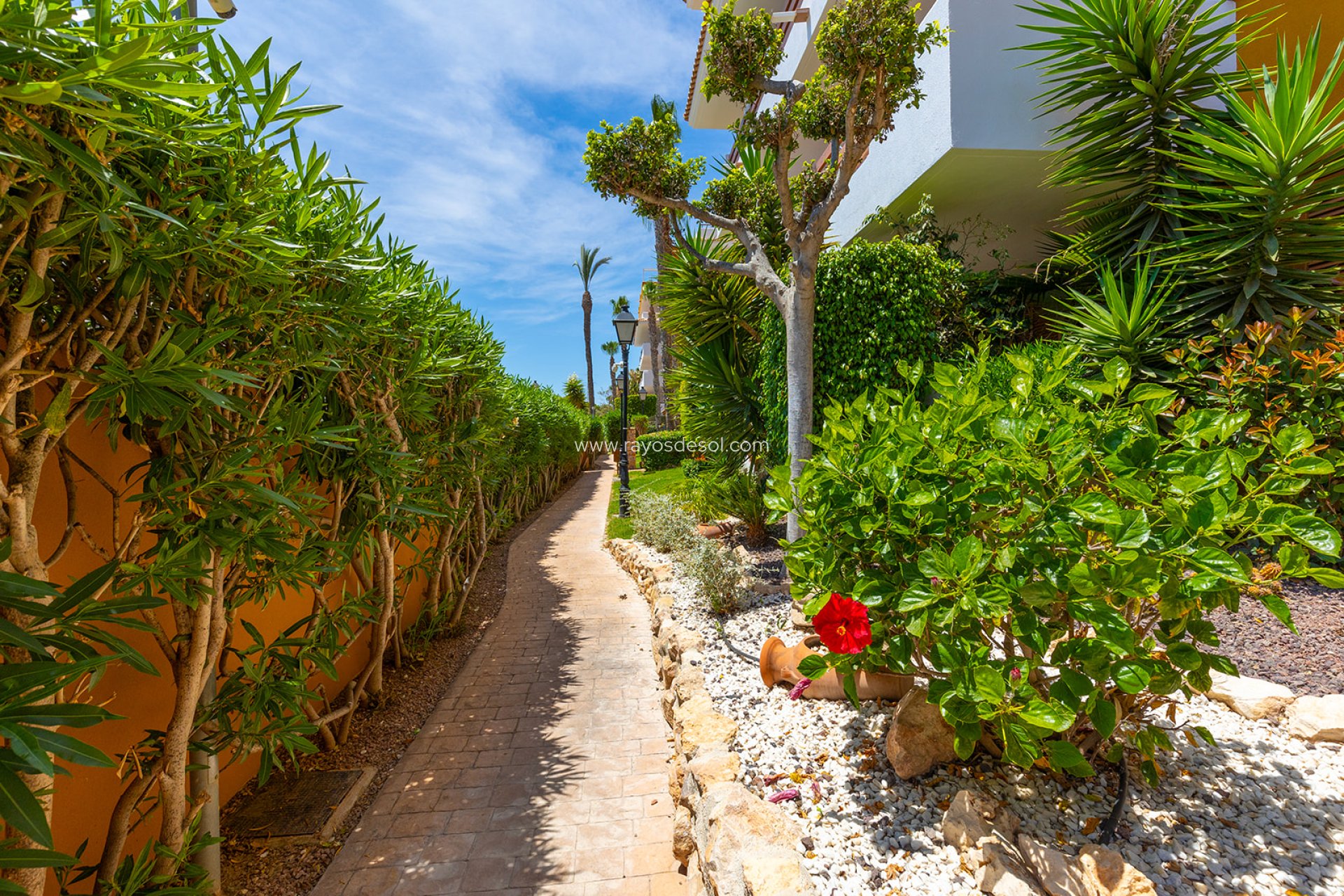 Reventa - Ático - Torrevieja - La Recoleta