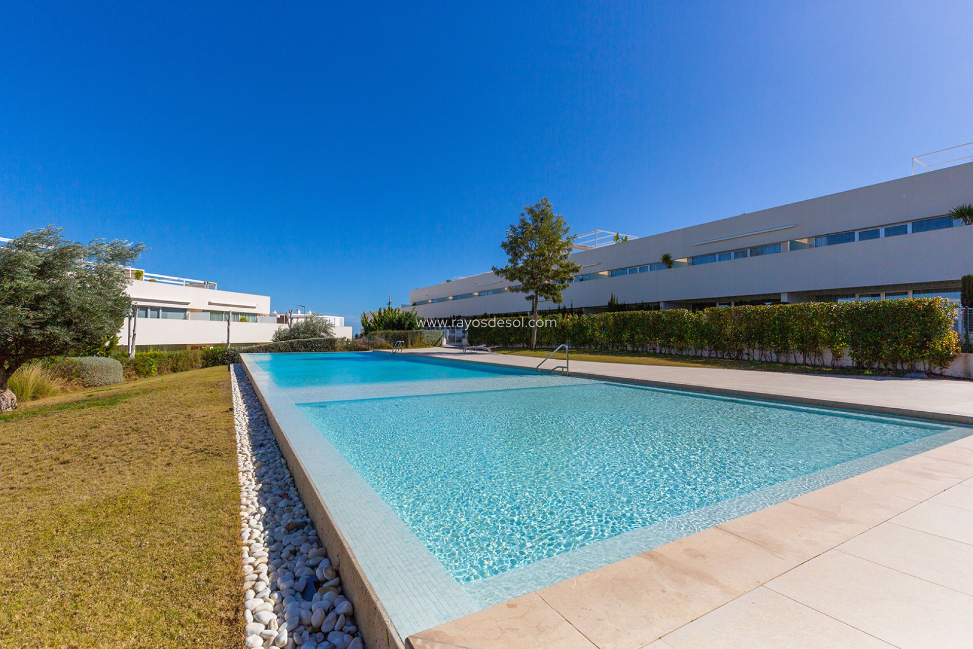 Reventa - Ático - Torrevieja - Los Balcones