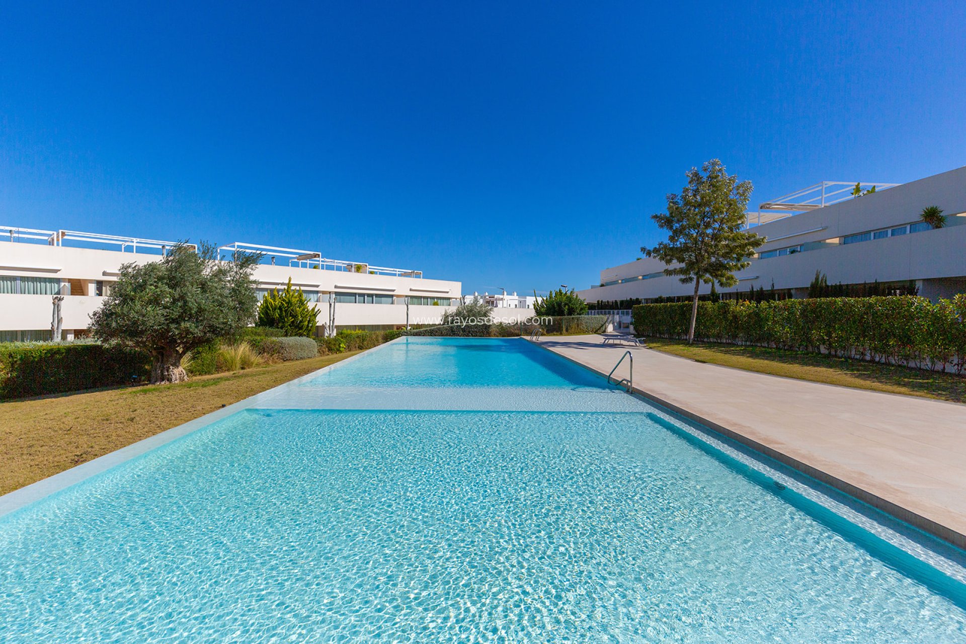 Reventa - Ático - Torrevieja - Los Balcones