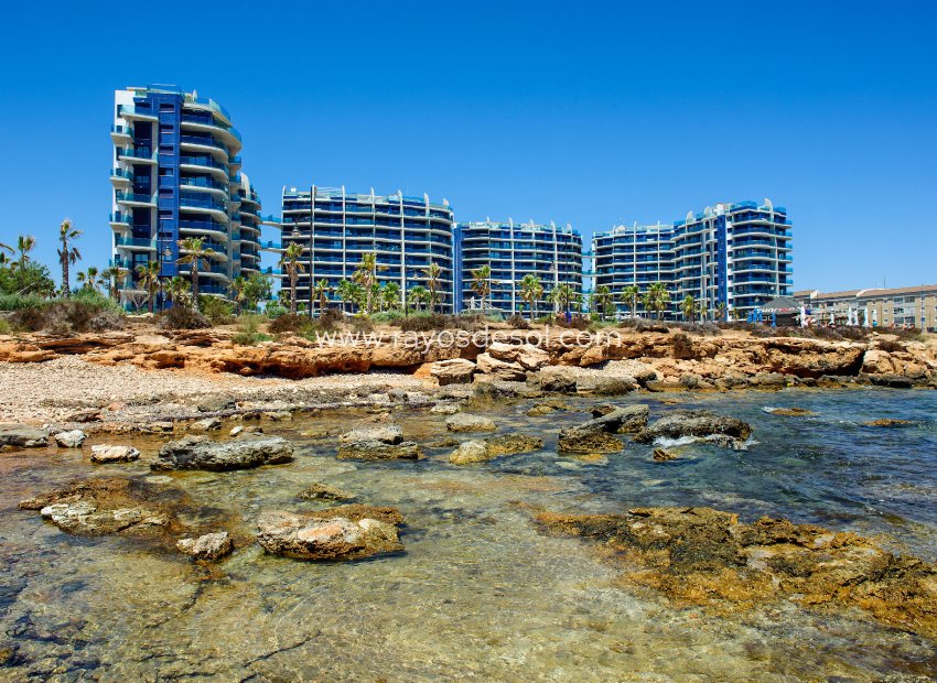 Reventa - Ático - Torrevieja - Punta Prima