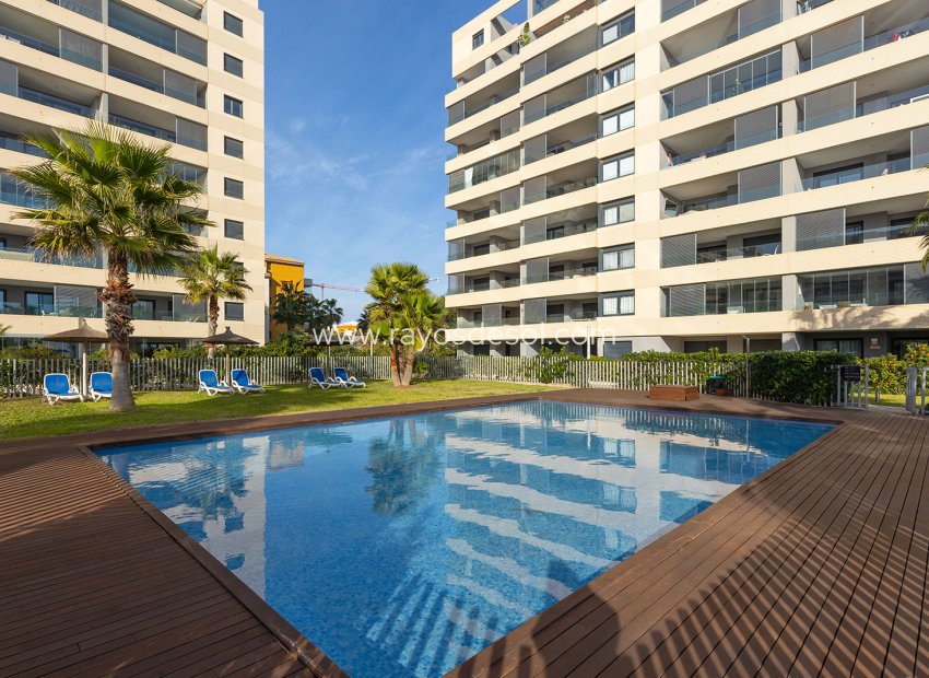 Reventa - Ático - Torrevieja - Punta Prima