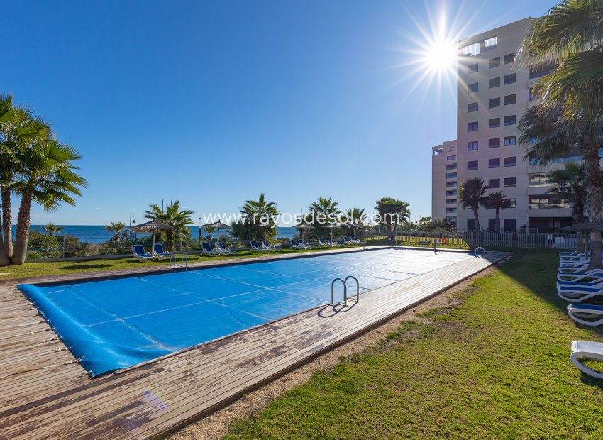 Reventa - Ático - Torrevieja - Punta Prima