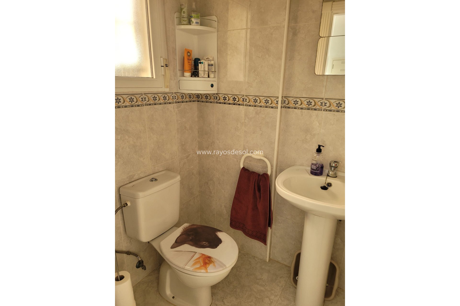 Reventa - Casa - Algorfa