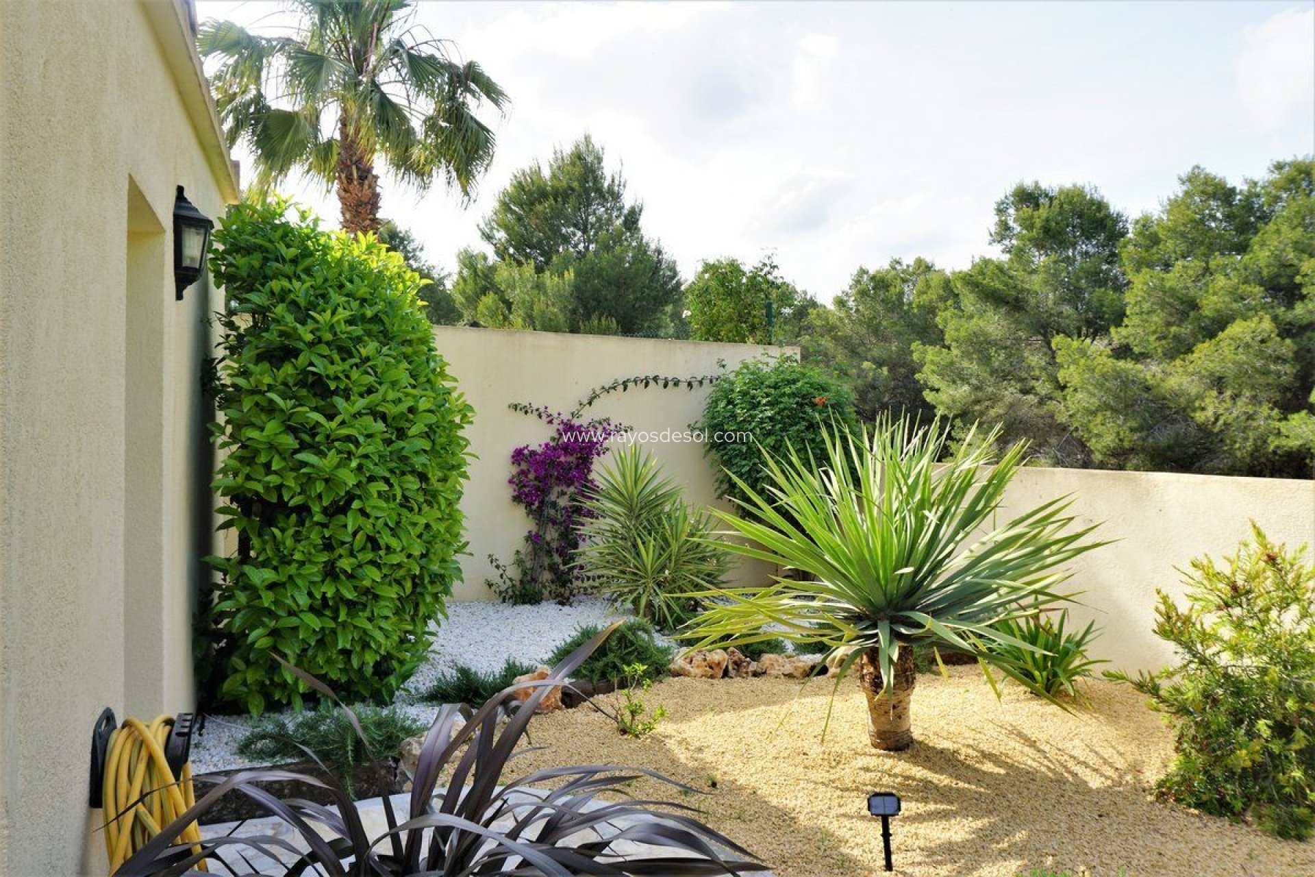 Reventa - Casa - Calpe