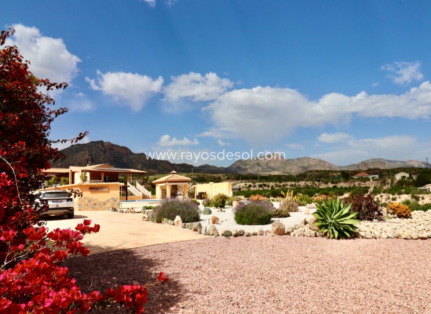 Reventa - Casa de campo - Finca - Albatera